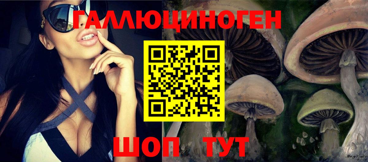 Галлюциногенные грибы мухоморы  Вход с VPN  магазин продажи наркотиков  Псилоцибиновые грибы GOLDEN TEACHER  Алапаевск 